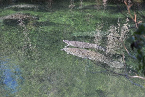Mother and child