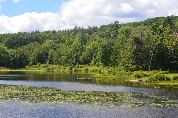 North Lake