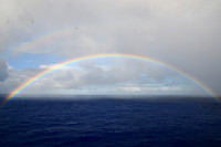Caribbean Rainbow