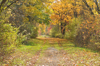 A walk in the Ramshorn-Livingston Sanctuary