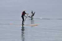 Carlsbad Longboarder
