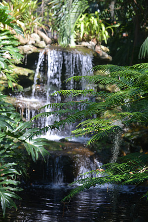 Sarasota Botanical Gardens
