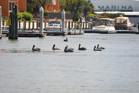 Naples, Tin City
