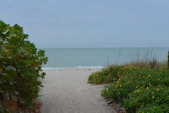 Naples beach