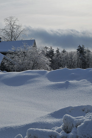Winter scene