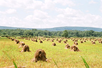 Haystacks