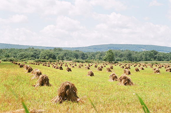 Haystacks