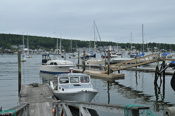 Annapolis harbor