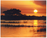 Loxahatchie sunset